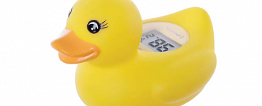 Thermometer Duck
